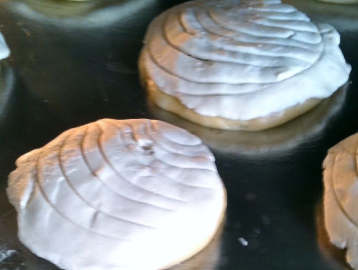 Conchas caseras