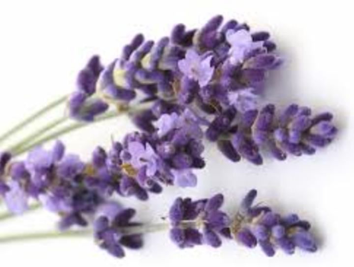 Azúcar de lavanda