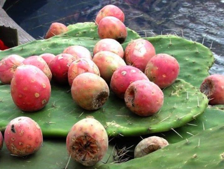 Mermelada de xoconostle