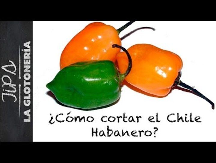 ¿Cómo cortar el chile habanero?