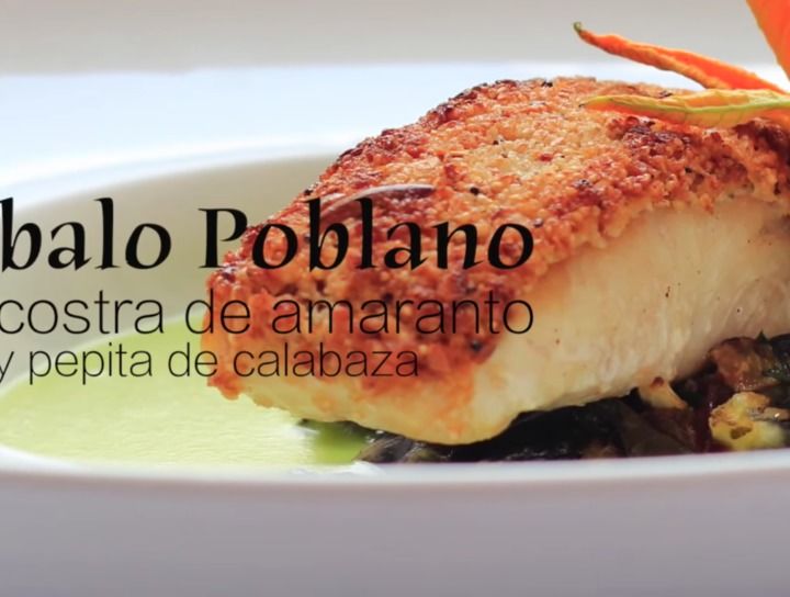 Robalo poblano en salsa de pepita de calabaza