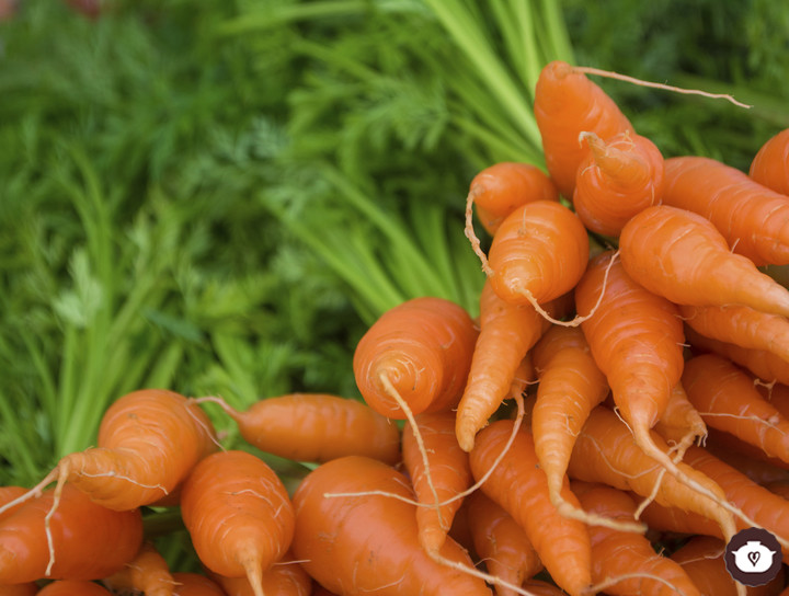 Beneficios de la zanahoria y recetas