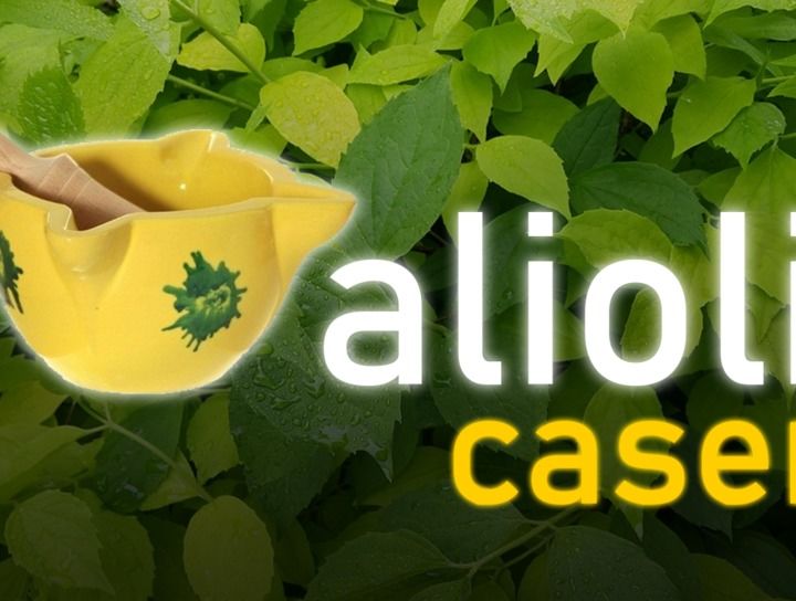 Alioli Casero