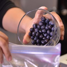Colocar las moras en una bolsa y meterlas al congelador durante 10 minutos.