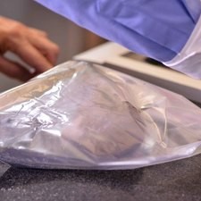 Meter en una bolsa de plástico para que se suden. S 10580 1475615816