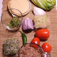 Ingredientes para toda la receta 1/2 taza de brote de cilantro Nuevo 1/2 taza de germinado de alfalfa 1/4 taza de germinado de brócoli Nuevo 4 piezas de tostadas de maíz desinfectante de verduras al gusto sal al gusto 1/4 taza de aceite de oliva extra virgen 1/4 pieza de cebolla morada 1 pieza de chile serrano 1 pieza de lechuga orejona 3 piezas de jitomate guaje 2 tazas de carne deshebrada de res