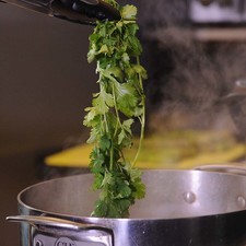 Agregar las ramas de cilantro al caldo.