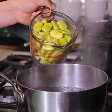 Cocer las habas en una olla honda con un poco de agua y sal durante 15 minutos.