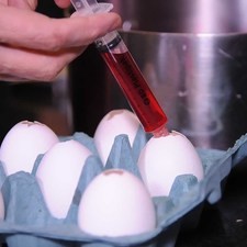 Utilizando una jeringa sin aguja, añadir gelatina a cada huevo, un sabor diferente a cada uno.