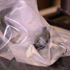 Colocar dentro de una bolsa de plástico para que se suden durante 5 minutos.