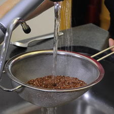Para preparar la quinoa, colocar la quinoa en un colador bajo el chorro de agua, mover con la mano o una cuchara para que se limpie bien.