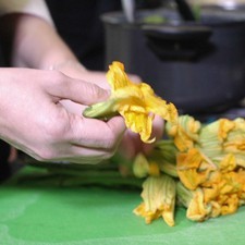 Cortar las flores de calabaza a la mitad y remover los sépalos y el pistilo, desecharlos y conservar la corola.