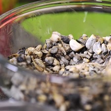 Picar finamente el diente de ajo, epazote, cebolla morada y cuitlacoche. Reservar