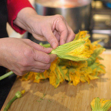 Cortar las flores de calabaza a la mitad y remover el pistilo y los sépalos, desecharlos y conservar la corola.