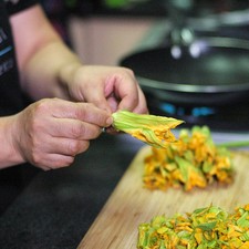 Para preparar el relleno; remover los sépalos de cada flor de calabaza y retirar el pistilo, desecharlos y conservar la corola.