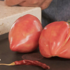 Para preparar la salsa poner asar los jitomates, chile de árbol y diente de ajo en un comal o sartén dando vueltas con la pinza, cuidando que no queme el chile.