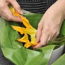 Colocar en el refractario la hoja de plátano y sobre ella la mitad de las flores de calabaza.