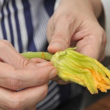 Poner a cocer las pechugas de pollo con ¼ de la cebolla y sal al gusto en una olla honda grande con agua durante 40 minutos. Retirar el pistilo y el rabo de las flores de calabaza, picar la corola en trozos pequeños. Picar finamente el ajo y la cebolla restante.