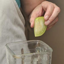Preparar una salsa vede moliendo el tomate verde crudo junto con el chile serrano y el jugo de medio limón en la licuadora. Colocar en un tazón y sazonar con sal. Cortar los jitomates guaje y las calabacitas en rodajas.