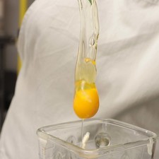 Colocar en el vaso de la licuadora los huevos, el jugo de naranja, el extracto de vainilla la nata y el azúcar. Licuar.
