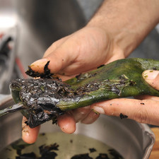 Mientras se cuece le pollo, asar los chiles sobre la hornilla de la estufa, dando vueltas con una pinza hasta que les salgan ampollas por todas partes. Colocar en una bolsa de plástico y cerrarla, dejar que suden durante 5 minutos. Retirarles la piel quemada y cortar en rajas.