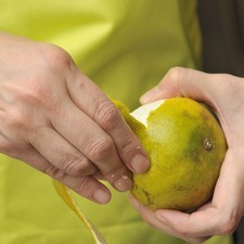 Remojar el cilantro en agua con una gota de desinfectante durante 5 minutos, escurrir y picar. Exprimir el jugo de una naranja. Pelar las otras dos naranjas y las mandarinas en gajos y retirar la cáscara blanca.