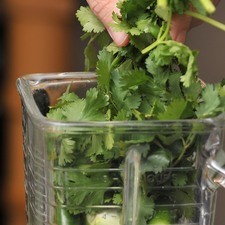 Moler los tomates con el ajo, el chile y el cilantro en la licuadora.