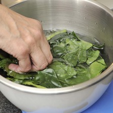 Desinfectar las espinacas en agua con desinfectante y escurrir.