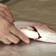 Colocar el pescado sobre el papel aluminio con la piel hacia abajo.