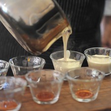 Verter la mezcla en moldes para gelatina o bollitos con el caramelo que preparamos calentando y moviendo el azúcar. Dejar enfriar completamente. Refrigerar hasta que cuaje.