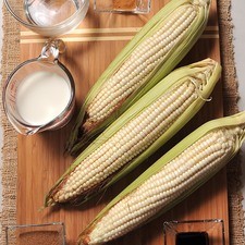 canela en polvo al gusto 3 piezas de elote Help 1/2 taza de agua 1 cucharada de extracto de vainilla 3/4 taza de leche de vaca 4 cucharadas de azúcar morena