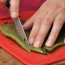 Cocer la pechuga de pollo en agua con la mitad de la cebolla y sal al gusto durante 45 minutos. Dejarla enfriar y desmenuzarla. Reservar. Desgranar el elote y reservar. Retirar el rabo de las flores abrir por un lado, retirar el pistilo y desecharlo. Picar las corolas que quedan y reservar. Asar los chiles poblanos sobre la hornilla de la estufa, meterlos en una bolsa de plástico para que se suden. Retirar la piel del chile mojándose bien las manos con agua. Remover las semillas y las venas y cortar en rajas gruesas.