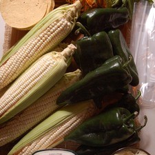 2 tazas de crema de leche de vaca 16 piezas de tortilla de maíz pimienta negra molida al gusto sal al gusto 1 pieza de bolsa de plástico 250 gramos de queso manchego 3 ramas de epazote 2 manojos de flor de calabaza 8 piezas de chile poblano 6 piezas de elote 1 cucharada de mantequilla