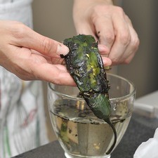 Asar los chiles chilaca sobre el quemador de la lumbre (se pueden sustituir por un chile poblano). Voltear con una pinza para que se doren parejo. Retirar la piel con cuidado, mojando bien la mano y metiéndola en un tazón con agua fría para ir dejando ahí la piel del chile. S 746 1475637237