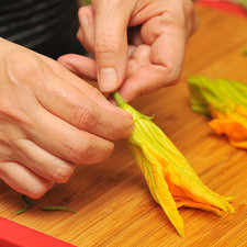 Retirar los pétalos de las flores de calabaza, tomar cada flor de la corola y girar el tallo para desprenderlo con todo y pistilo.