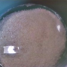 Para preparar el arroz, en un bowl lava muy bien el arroz, apretándolo suavemente y revolviendo el agua, para después colarlo y repetir la operación, esto lo harás aproximadamente 10 veces. Coloca el arroz en una cacerola con 3 tazas de agua, tapa la cacerola y cocina a fuego alto hasta que comience a hervir el agua, después bajarás la flama a lo más bajo posible, hasta que el arroz esté cocido, cuando el arroz esté listo, apaga la estufa y espera 15 minutos con la cacerola tapada. El resultado deberá ser un arroz súper apelmazado y pegajoso, casi “desesperante”.