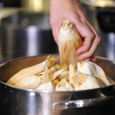 Colocar una capa de hojas de tamal en la parte baja de la vaporera. Colocar los tamales parados, recargados uno sobre otro dentro de la vaporera formando una pirámide. Cocer al vapor durante aproximadamente 1 hora o hasta que la masa se desprenda fácilmente de la hoja.