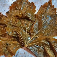 ...utiliza otra hoja o pedazos sobrantes para arreglarlo.