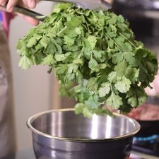 Desinfectar el cilantro en un tazón con suficiente agua y unas gotas de desinfectante por 5 minutos.