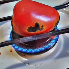 Cocina en la hornilla el tomate.