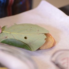 Poner 1 hoja de aguacate y una hoja de laurel, amarrar con el hilo de cañamo.